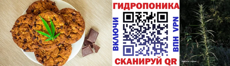дарк нет телеграм  Котово  Cannafood конопля 