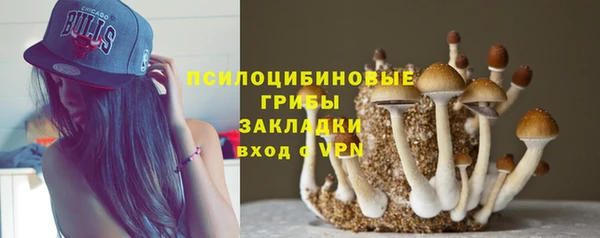 jwh Козловка