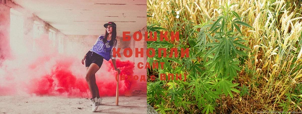 таблы Козельск