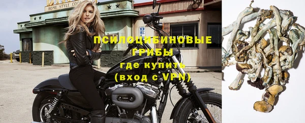 таблы Козельск